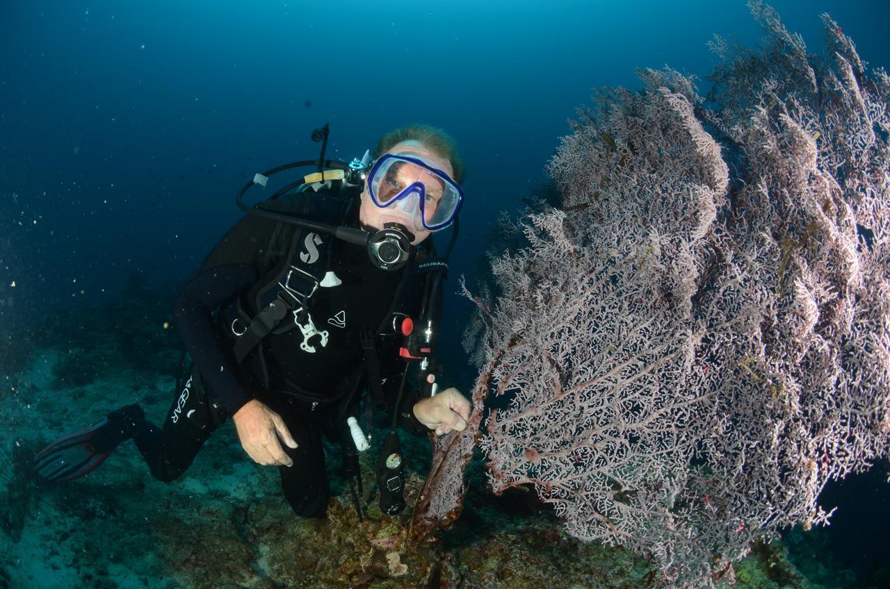 Loon Cabilao Sunset Dive & Beach Resort מראה חיצוני תמונה